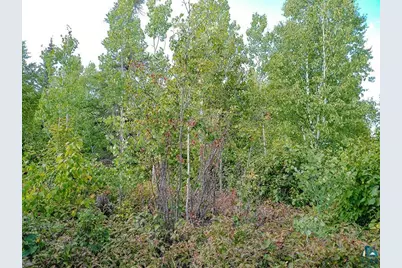 72 Nicole Kristine Lane, Lutsen, MN 55612 - Photo 37