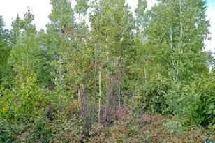 72 Nicole-Kristine Ln, Lutsen, MN 55612 - Photo 37