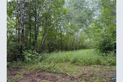 Tbd County Rd 12, Kettle River, MN 55757 - Photo 21