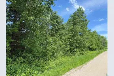 Lot 2 Parameter Rd, Deer River, MN 56636 - Photo 9