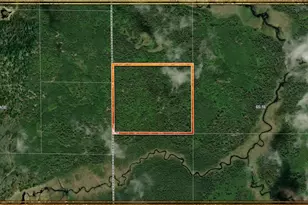 Tbd Echo Trail, Ely, MN 55731 - Photo 1