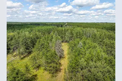 Tract A Highway 21, Babbitt, MN 55706 - Photo 9