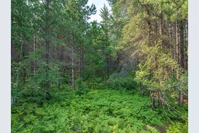 Tract A Highway 21, Babbitt, MN 55706 - Photo 5
