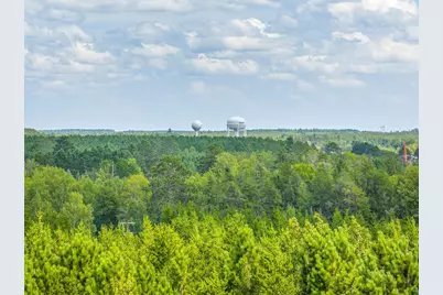 Tract B Highway 21, Babbitt, MN 55706 - Photo 5