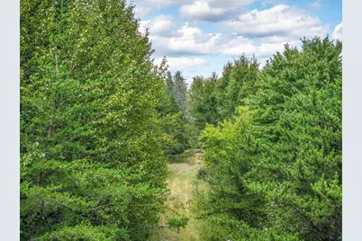 Tract B Highway 21, Babbitt, MN 55706 - Photo 3