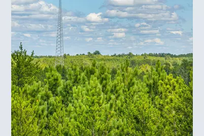 Tract D Highway 21, Babbitt, MN 55706 - Photo 1