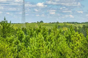 Tract D Hwy 21, Babbitt, MN 55706 - Photo 1