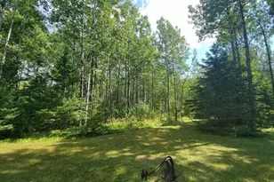 181 Linnell Rd, Grand Marais, MN 55604 - Photo 23