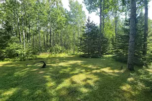 181 Linnell Rd, Grand Marais, MN 55604 - Photo 21