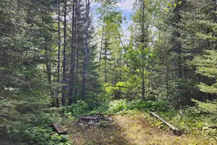 3860 Arrowhead Trail, Hovland, MN 55606 - Photo 39