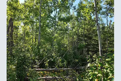 Xxx Caspers Hill Rd, Grand Marais, MN 55604 - Photo 5