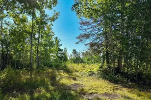 Xxx Caspers Hill Rd, Grand Marais, MN 55604 - Photo 1