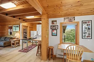 95126 Grassy Point, Tower, MN 55790 - Photo 9