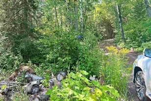 109 Sobanja Ln, Grand Marais, MN 55604 - Photo 5