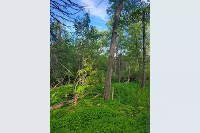 72Xx E Superior St, Duluth, MN 55804 - Photo 5