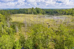 651 Fernberg Rd, Ely, MN 55731 - Photo 19