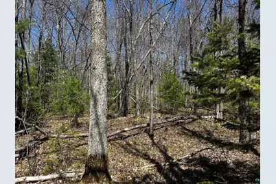 Lot 5 & 6 State Hwy 70, Spooner, WI 54801 - Photo 7