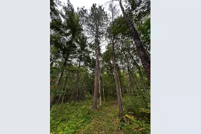 Lot 5 & 6 State Hwy 70, Spooner, WI 54801 - Photo 51
