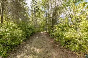 10401 Gunsten Lake Rd, Isabella, MN 55607 - Photo 61