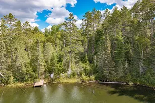 10401 Gunsten Lake Rd, Isabella, MN 55607 - Photo 37