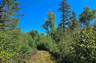 4 Steam Engine Rd, Lutsen, MN 55612 - Photo 5