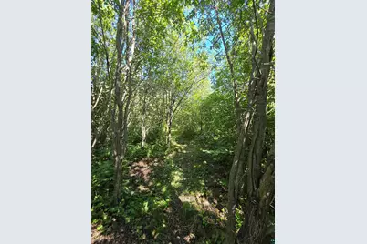 4 Steam Engine Rd, Lutsen, MN 55612 - Photo 3