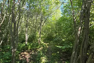 4 Steam Engine Rd, Lutsen, MN 55612 - Photo 3