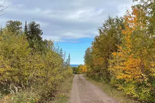 4 Steam Engine Rd, Lutsen, MN 55612 - Photo 25
