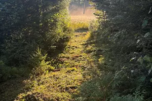 3382 Gods Wilderness Rd, Finland, MN 55603 - Photo 73