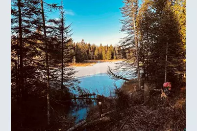 3382 God's Wilderness Rd, Finland, MN 55603 - Photo 51