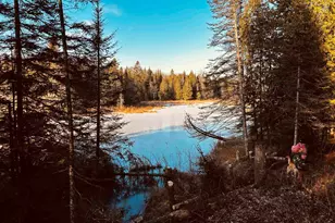 3382 Gods Wilderness Rd, Finland, MN 55603 - Photo 51