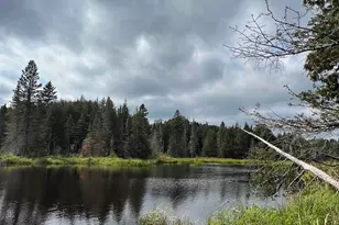 3382 Gods Wilderness Rd, Finland, MN 55603 - Photo 49
