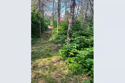 3382 God's Wilderness Rd, Finland, MN 55603 - Photo 19