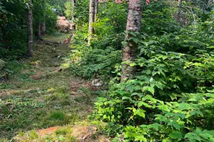 3382 Gods Wilderness Rd, Finland, MN 55603 - Photo 19