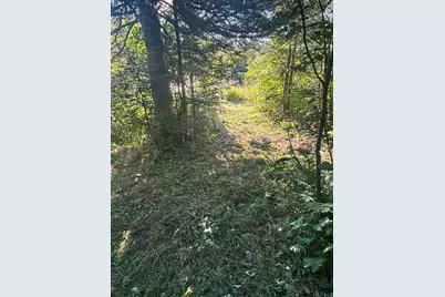 3382 God's Wilderness Rd, Finland, MN 55603 - Photo 59