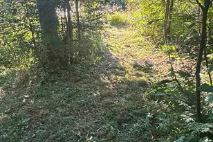 3382 Gods Wilderness Rd, Finland, MN 55603 - Photo 59