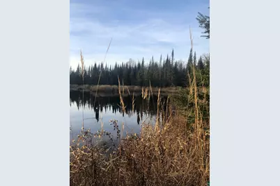 3382 God's Wilderness Rd, Finland, MN 55603 - Photo 27
