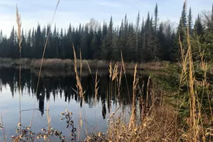 3382 Gods Wilderness Rd, Finland, MN 55603 - Photo 27