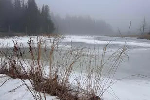 3382 Gods Wilderness Rd, Finland, MN 55603 - Photo 53
