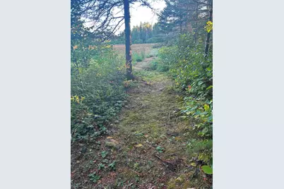 3382 God's Wilderness Rd, Finland, MN 55603 - Photo 33
