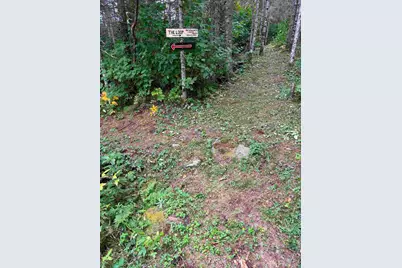 3382 God's Wilderness Rd, Finland, MN 55603 - Photo 57