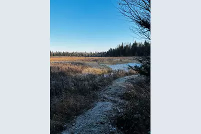 3382 God's Wilderness Rd, Finland, MN 55603 - Photo 35