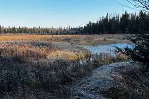 3382 Gods Wilderness Rd, Finland, MN 55603 - Photo 35