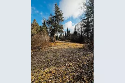 3382 God's Wilderness Rd, Finland, MN 55603 - Photo 21