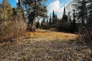 3382 Gods Wilderness Rd, Finland, MN 55603 - Photo 21