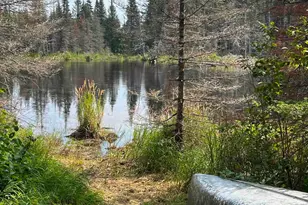 3382 Gods Wilderness Rd, Finland, MN 55603 - Photo 41