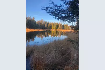 3382 God's Wilderness Rd, Finland, MN 55603 - Photo 69