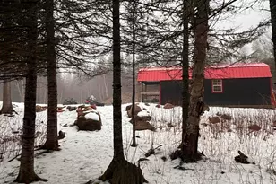 3382 Gods Wilderness Rd, Finland, MN 55603 - Photo 5