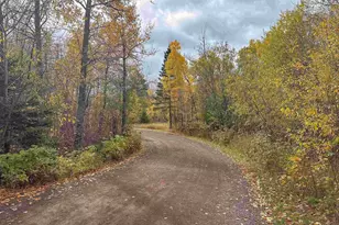 265 Mink Ranch, Lutsen Township, MN 55612 - Photo 31