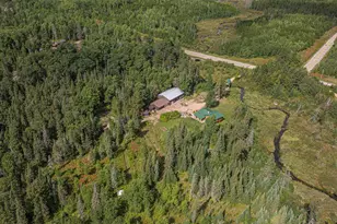 3308 Lenont Rd, Babbitt, MN 55706 - Photo 89